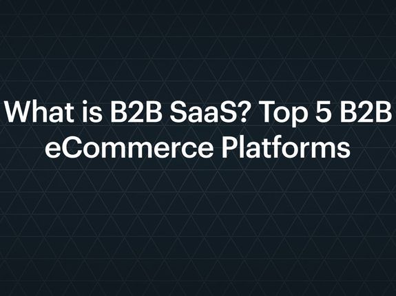 What is B2B SaaS? Top 5 B2B eCommerce Platforms