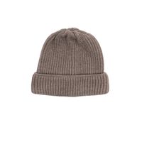 Roosenstein Wolke Zeemansmuts Merino Bruin