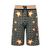 Dolce & Gabbana L4JQH5/G7WJW kinder shorts grijs/oranje