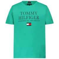 Picture of Tommy Hilfiger KB0KB07012 kids t-shirt mint