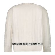 Afbeelding van Tommy Hilfiger KG0KG06330 baby vest off white
