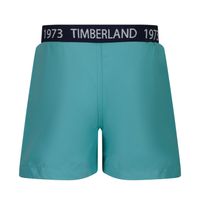 Picture of Timberland T04A27 baby swimwear turquoise