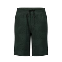 Picture of Armani 3L4PFT kids shorts dark green
