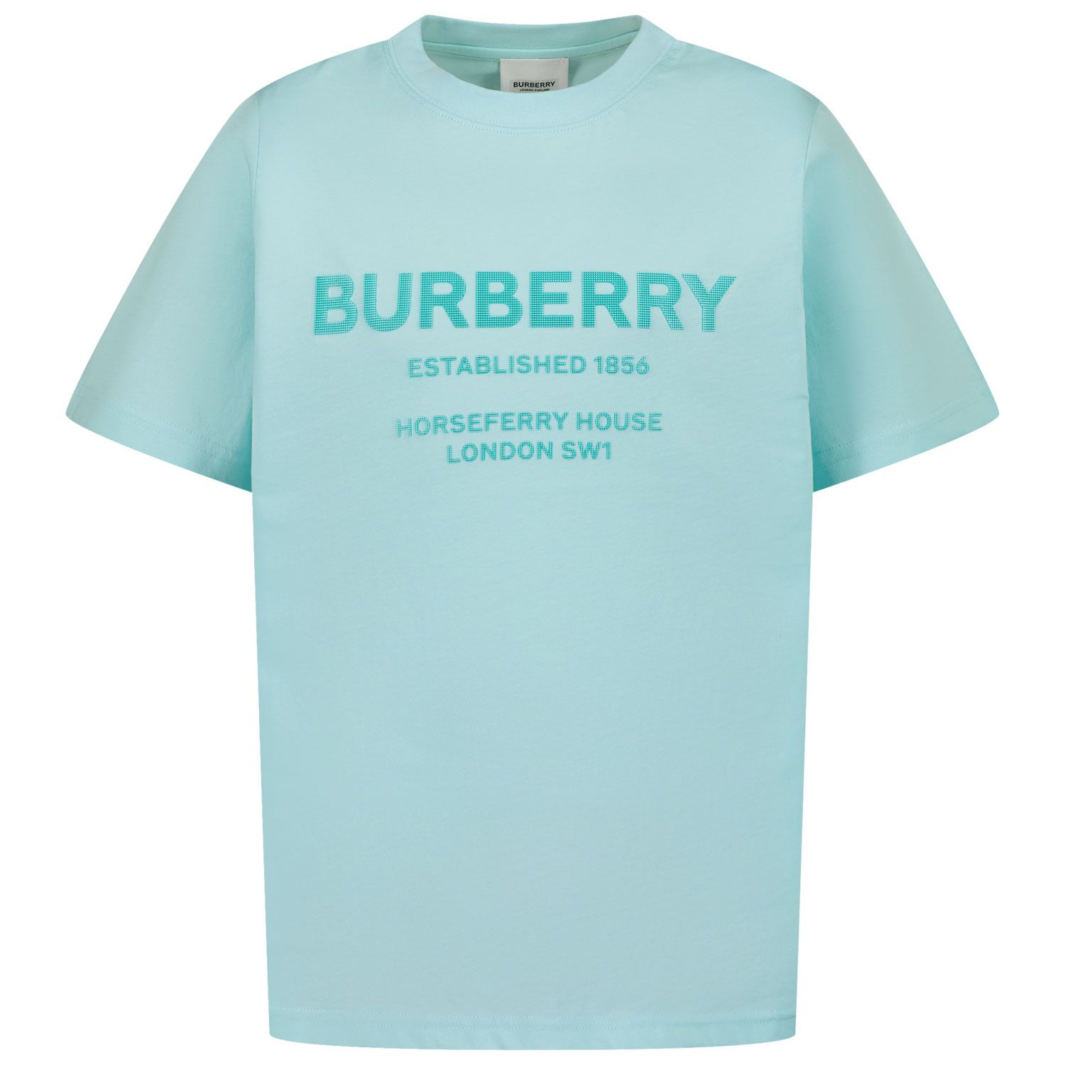 Afbeelding van Burberry 8051432 kinder t-shirt mint