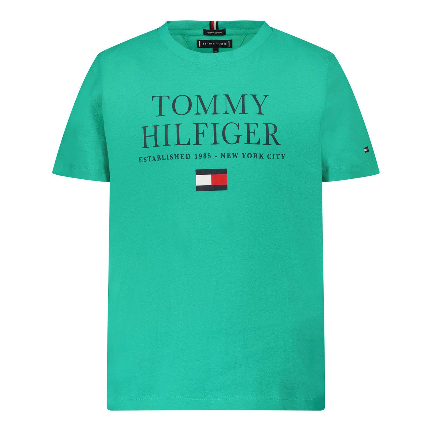 Picture of Tommy Hilfiger KB0KB07012B baby shirt mint