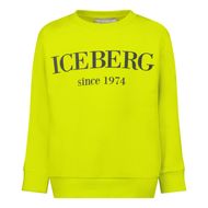 Afbeelding van Iceberg MFICE0106BB baby trui lime