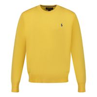 Picture of Ralph Lauren 799887 kids sweater yellow