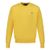 Ralph Lauren 799887 kids sweater yellow