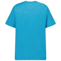 Picture of Ralph Lauren 832904 kids t-shirt turquoise