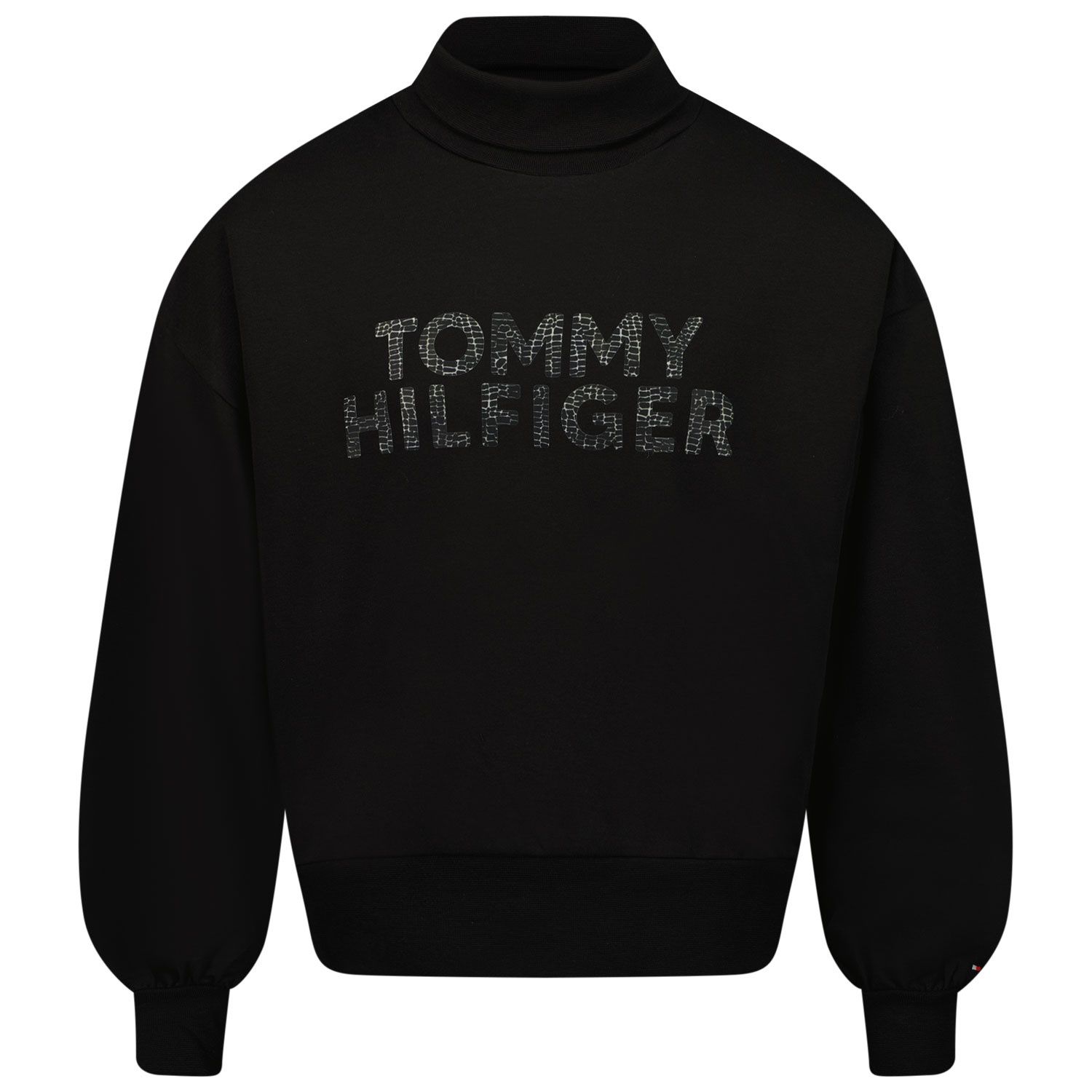 Picture of Tommy Hilfiger KG0KG06321 kids sweater black