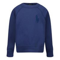 Picture of Ralph Lauren 861028 kids sweater blue