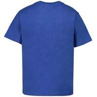 Picture of Ralph Lauren 832904 kids t-shirt blue