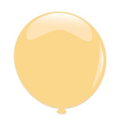 Ballonnen transparant (61cm)