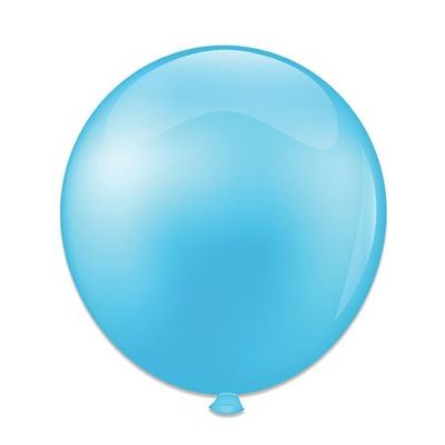 Ballonnen babyblauw (61cm)