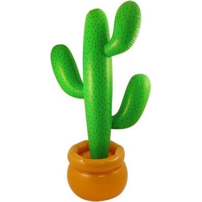 Foto van Opblaas Cactus 86 cm