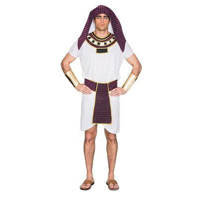 Foto van Farao kostuum heren