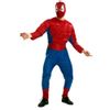 Afbeelding van Gespierd Spiderman kostuum