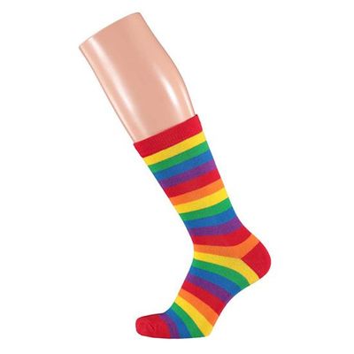 Regenboog sokken 
