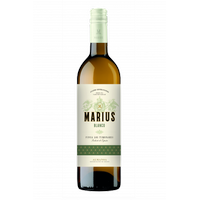 PIQUERAS VERDEJO SAUVIGNON MARIUS 2023 75 CL