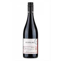 DAL NESPOLI SANGIOVESE MERLOT RUBICONE 2021 75 CL