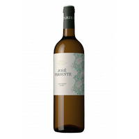 JOSÉ PARIENTE SAUVIGNON BLANC RUEDA 2023 75 CL