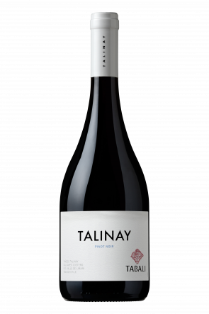 Foto van VIÑA TABALI PINOT NOIR TALINAY 2019 75 CL