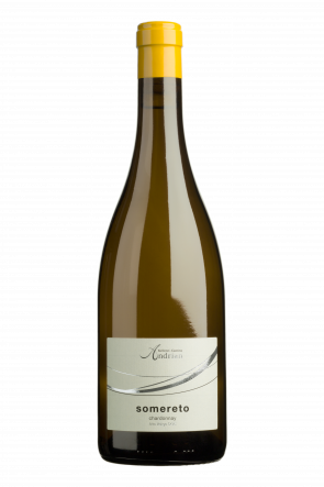 KELLEREI CANTINA ANDRIAN CHARDONNAY 2022 75 CL Foto van KELLEREI CANTINA ANDRIAN CHARDONNAY 2022 75 CL