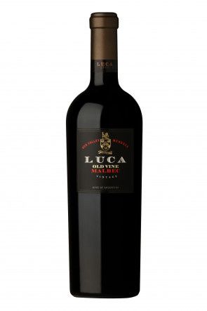 LUCA CATENA OLD VINE MALBEC 2020 75 CL Foto van LUCA CATENA OLD VINE MALBEC 2020 75 CL