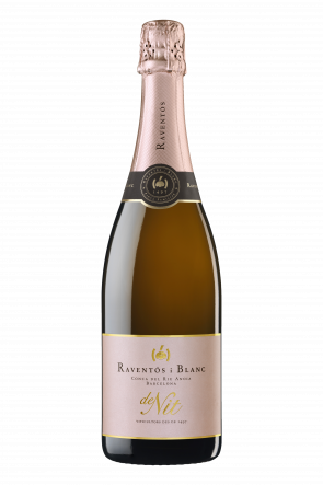 RAVENTOS DE NIT BRUT ORGANIC 2019 75 CL Foto van RAVENTOS DE NIT BRUT ORGANIC 2019 75 CL