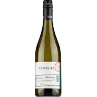 DAL NESPOLI TREBBIANO CHARDONNAY 2022 75 CL