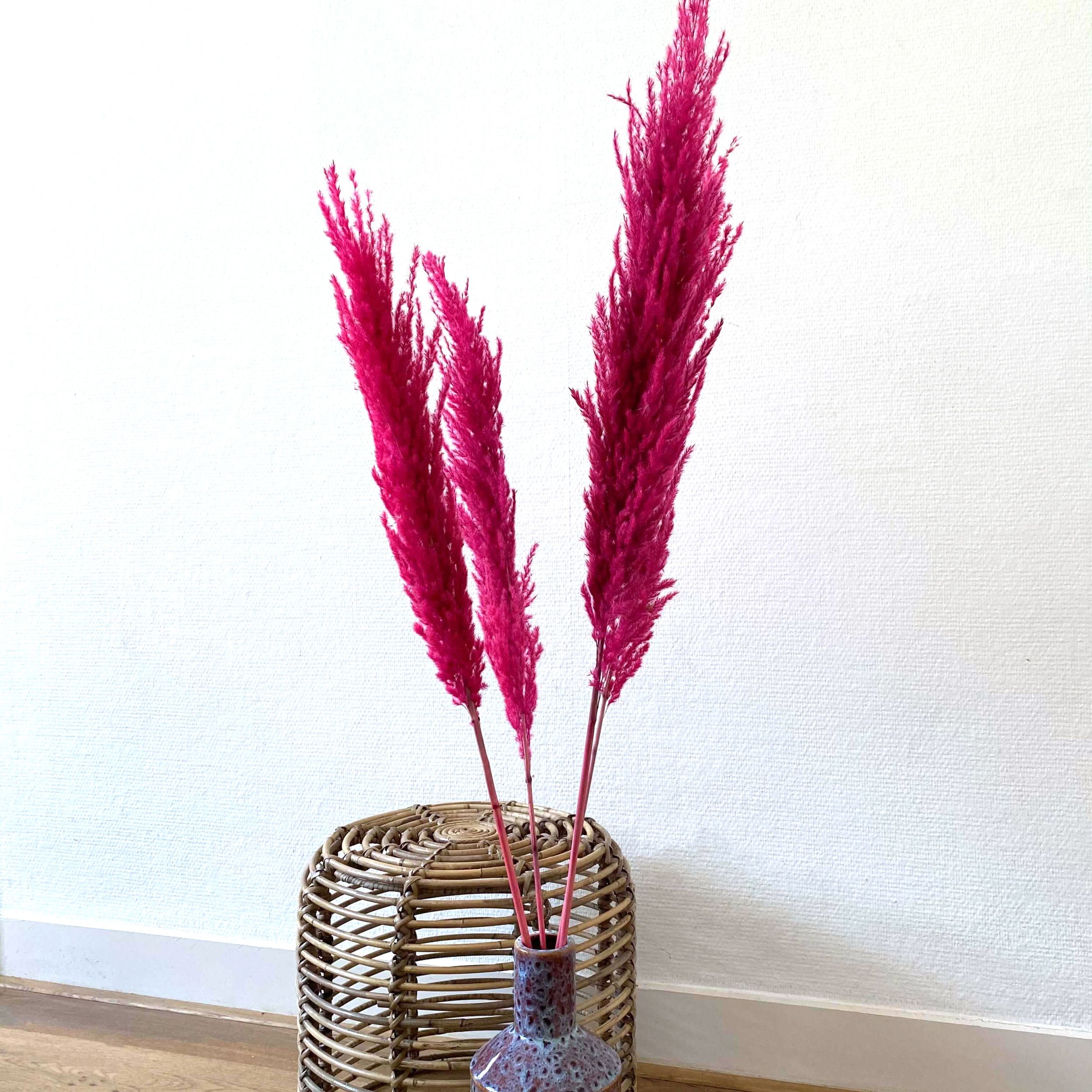 Fablcrew Pampasgras 25 St/ück Blumenstrau/ß zur Dekoration von Hochzeit getrocknetes Schilfgras 60 cm wei/ß Haus oder B/üro H/öhe: 60 cm