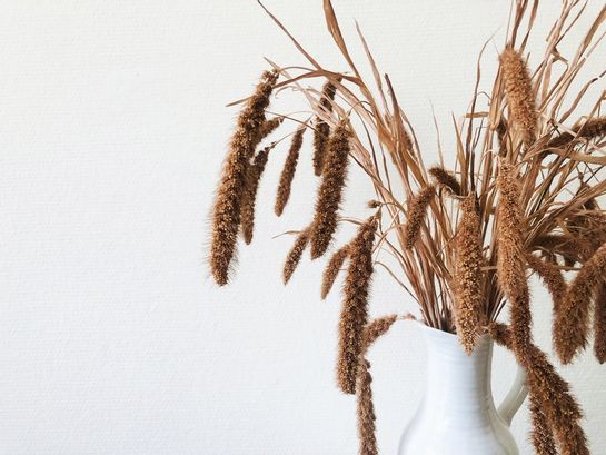 Dry FLWRSBei DRY FLWRS finden Sie eine einmalige Auswahl handgefertigter Trockensträuße. Im Gegensatz zu dem, was man erwarten könnte, bestehen die Trockensträuße nicht nur aus getrockneten Blumen, sondern enthalten auch getrocknete Gräsern, Blättern und andere getrocknete Pflanzenarten. Ein Trockstrauss verleiht Ihrem Zushause ein spezielles Ambiente. Im Büro präsentiert sich ein Straus aus trocken Blumen am Empfang immer gut