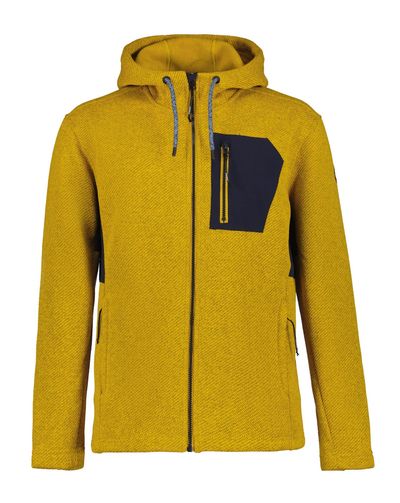 Foto van Icepeak heren Fleece vest Manawa