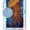 Afbeelding van SooBluu microvezel reisbadlaken Jelly