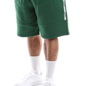 Lacoste Korte broek LACOSTE Shorts GREEN GH1201-21