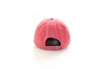 Afbeelding van The North Face Dad Cap M Washed Norm SLATE ROSE NF0A3FKN396