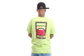Foto van The North Face T-Shirt M S/S NORTH FACES TEE Sharp Green NF00CEQ8HDD