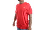 Afbeelding van The North Face T-Shirt M S/S NORTH FACES TEE Horizon Red NF00CEQ8V33