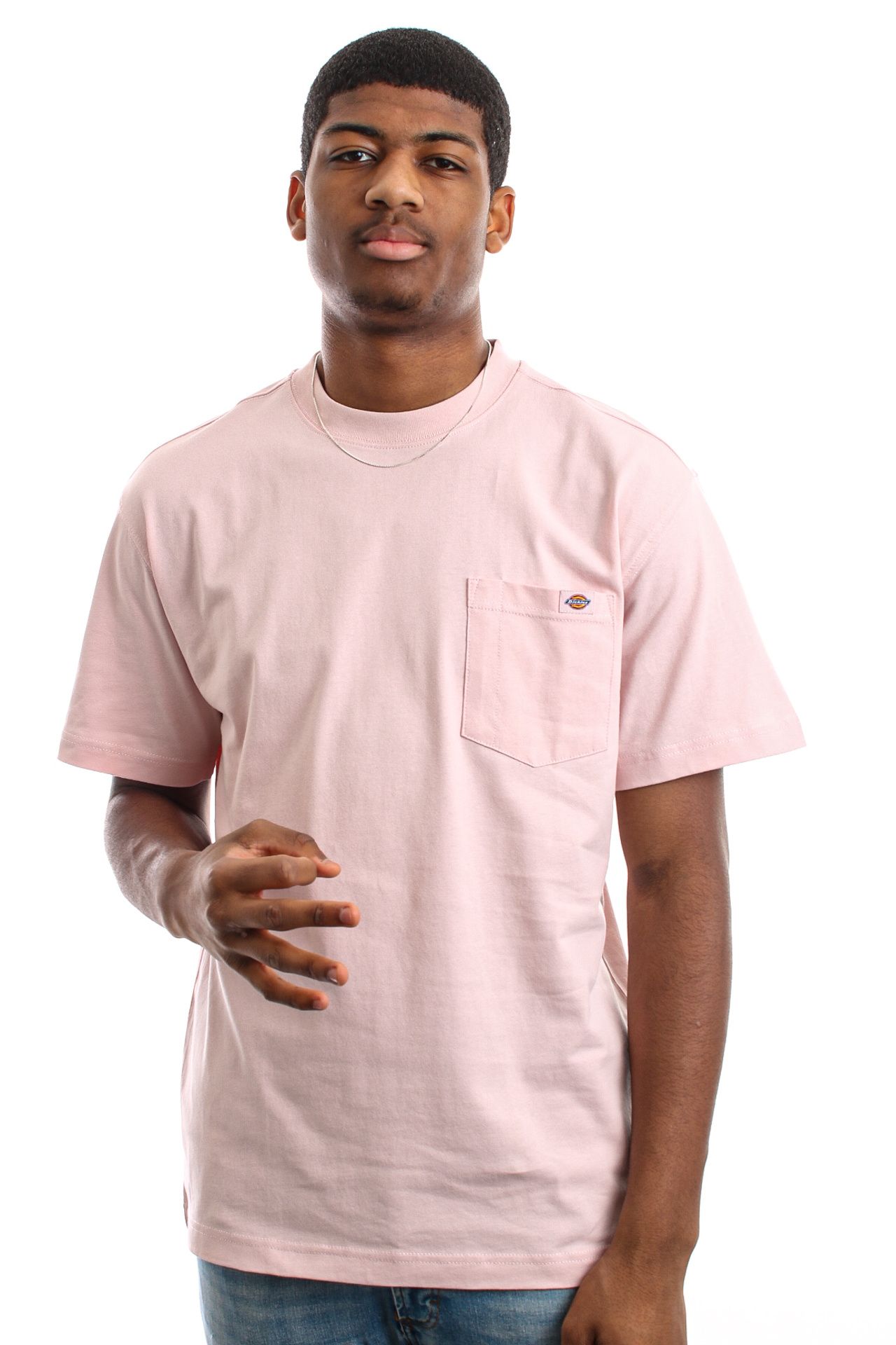 Dickies T-Shirt DICKIES PORTERDALE 