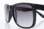 Afbeelding van Icon Eyewear 20857 Black / APG Smoke Sunglasses 