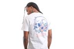 Afbeelding van Vans T-Shirt VANS SPRING FEVER SS WHITE VN0A7PLQWHT1
