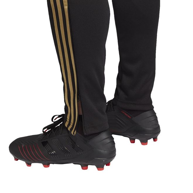 Afbeelding van Real Madrid Trainingsset Raw Gold