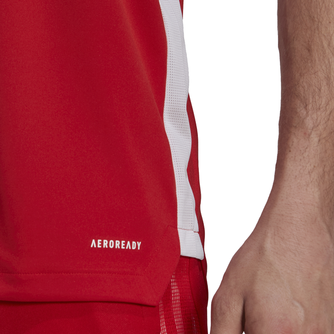 Afbeelding van Ajax Zomerset Tmcord