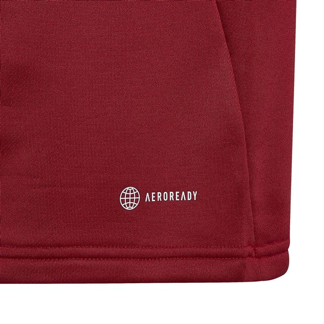 Afbeelding van Ajax Amsterdam Condivo 22 Trainingsset Kids Team Victory Red