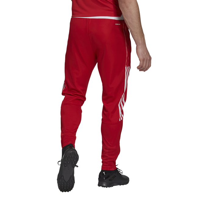 Afbeelding van Ajax Presentatiepak Hooded Tmcord