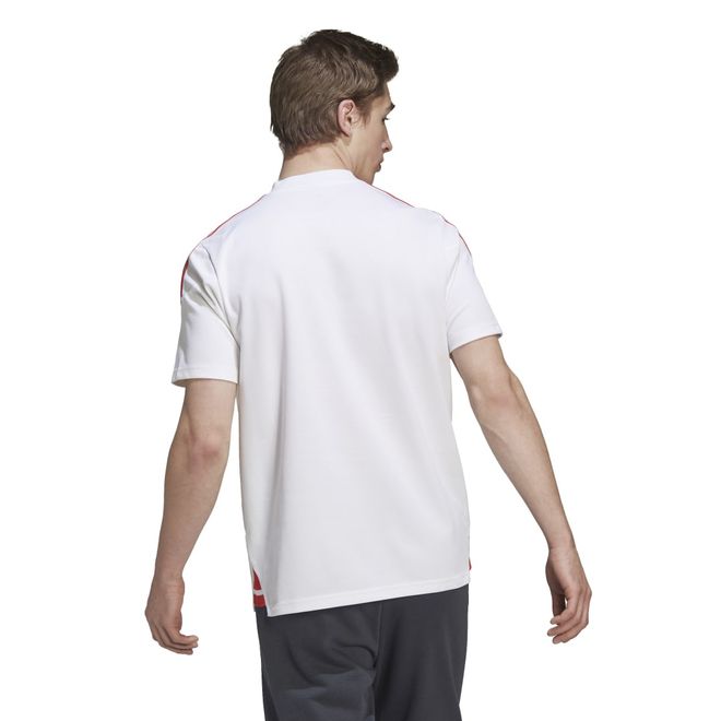 Afbeelding van FC Bayern München Condivo 22 Polo Set White