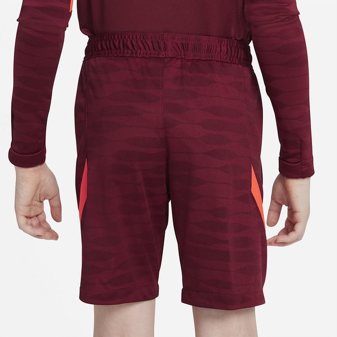 Afbeelding van Liverpool FC Strike Zomerset Kids Team Red