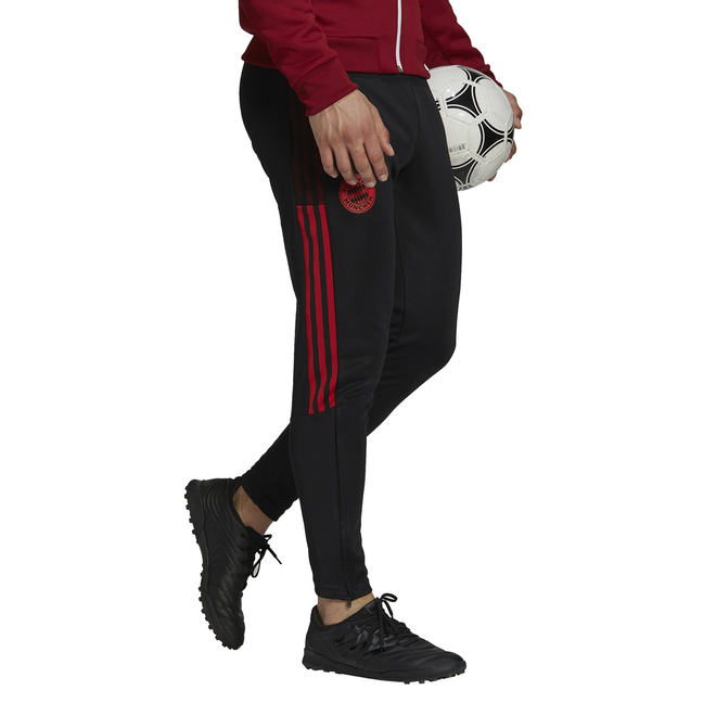 Afbeelding van FC Bayern München Trainingsset NTGrey Black