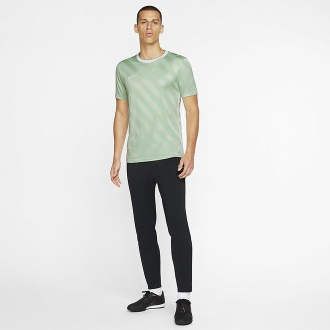 Afbeelding van Nike Dry Academy Top SS Pistachio Frost