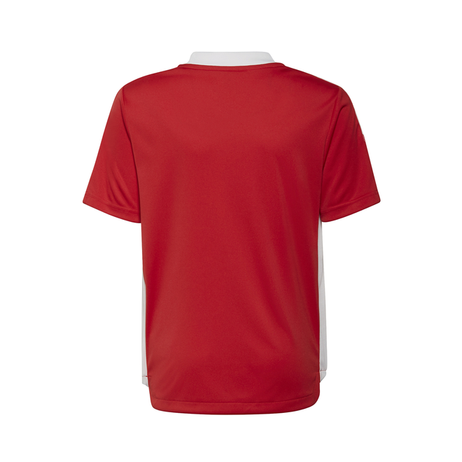 Afbeelding van Ajax Zomerset Kids Tmcord